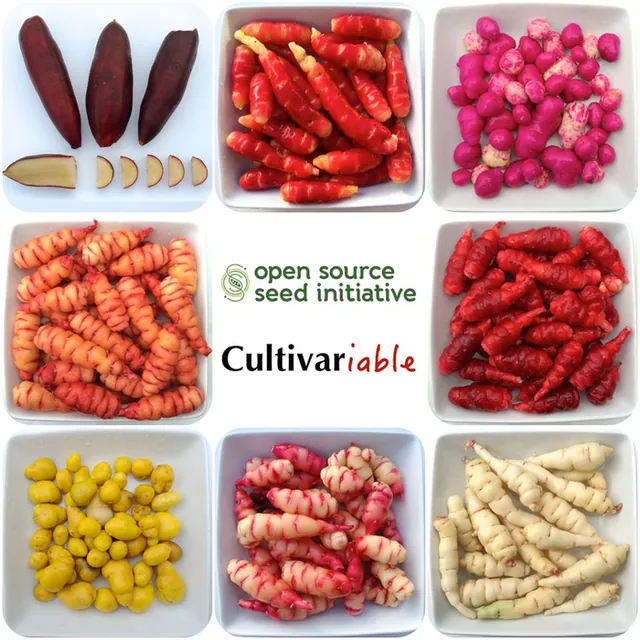 Imatge de varietat de vegetals