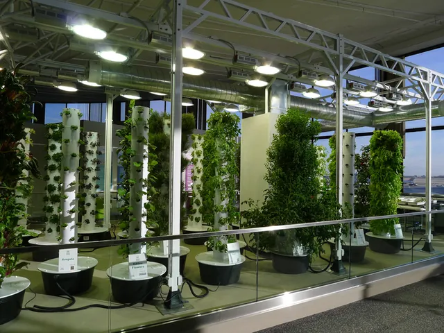 Image of a vertical city farm