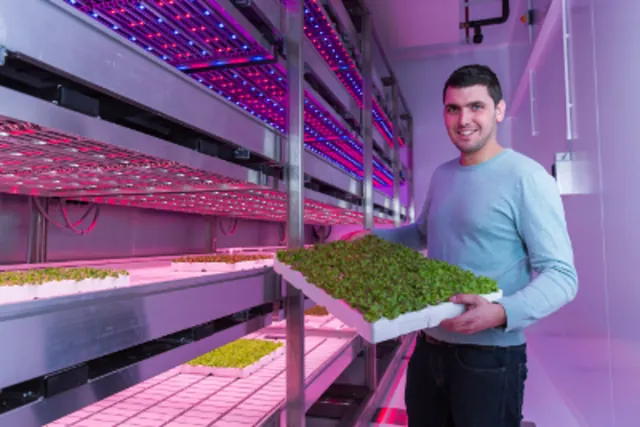 Image of a city farm